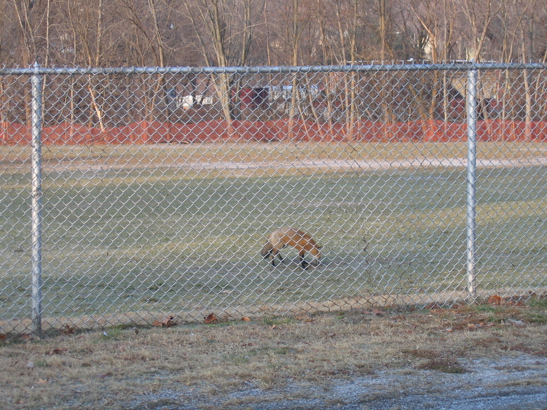 IMG_2756.JPG